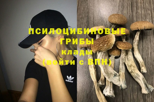 бутират Бронницы